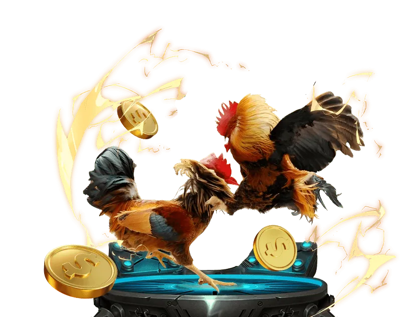 Cam kết của playiwin code